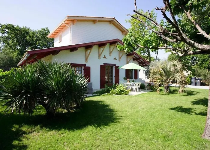 Robert Shumann 安德诺莱斯贝恩