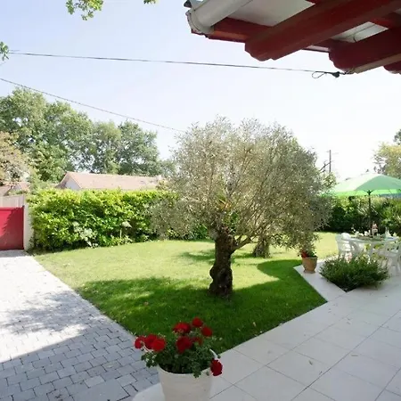 Robert Shumann, A 700 M De La Semesterbostad