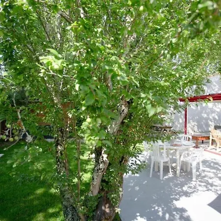 Robert Shumann, A 700 M De La Semesterbostad